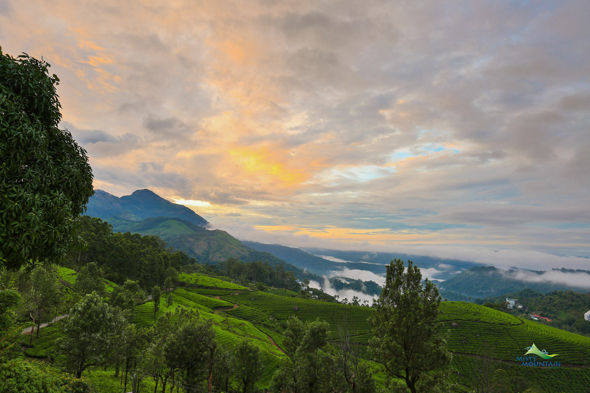 Misty Mountain Resort Munnar Exterior foto